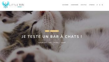 bar a chat